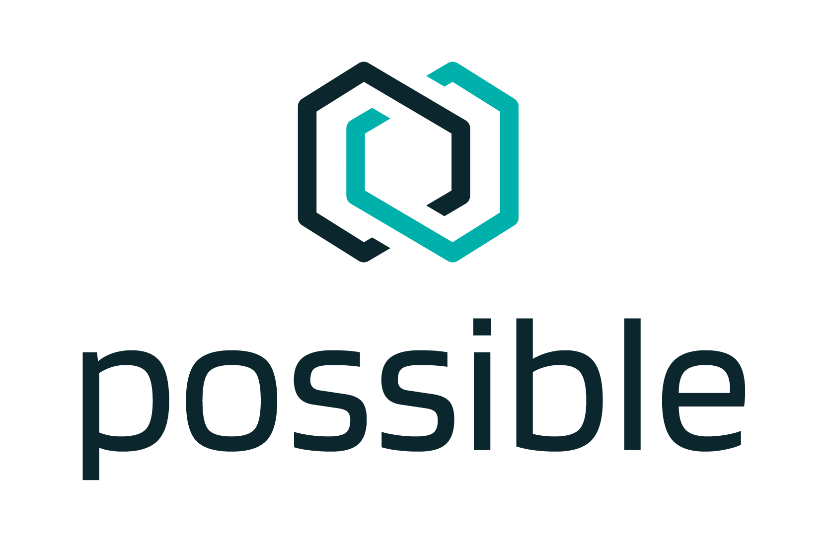 Possible Inc