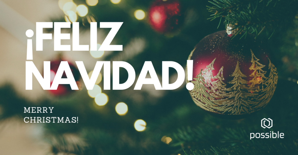 Feliz Navidad Possible Inc.